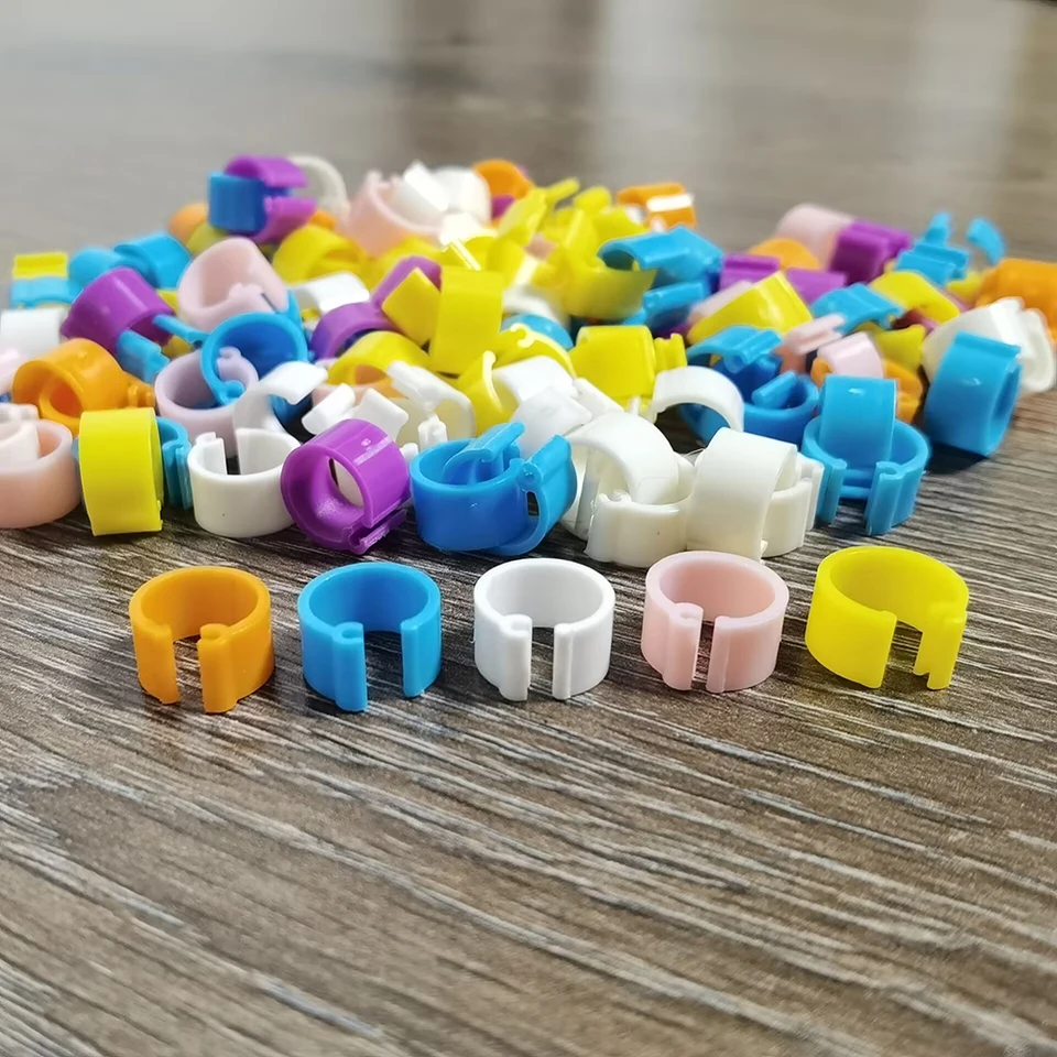 100 Bunte Vogel-Fußringe Aus Kunststoff, 8 Mm – Praktische Beinringe Zur Markierung Von Tauben, Küken & Zwerghühnern