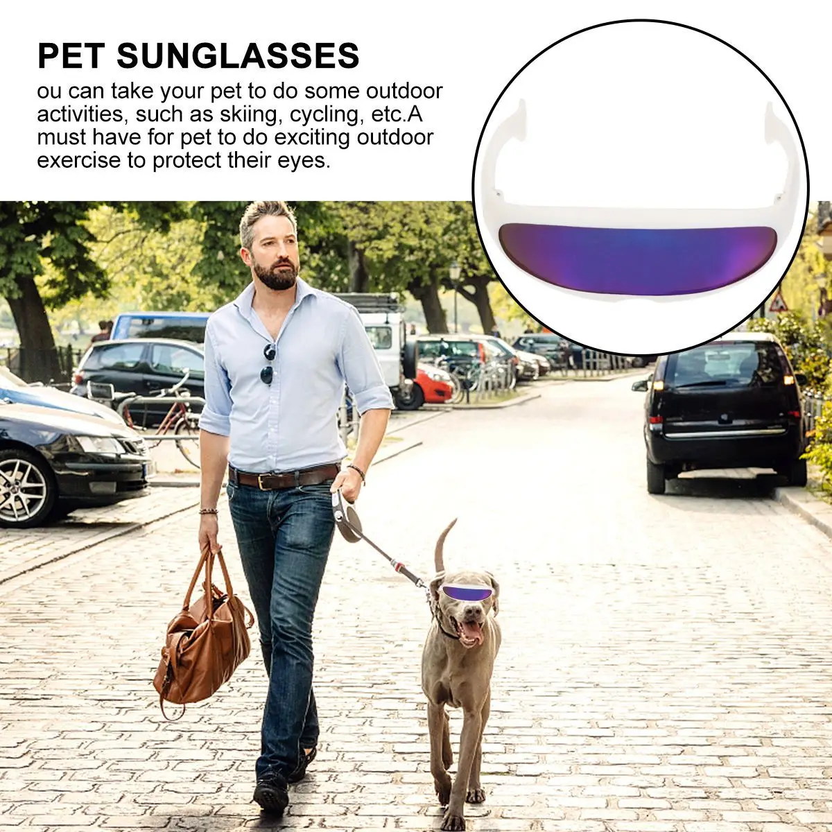 

2Pcs Pet Cat Skiing Sunglasses Durable Plastic Windproof Lightweight Pet Goggles Outdoor Sports Glasses Cat Windbreak Glasses