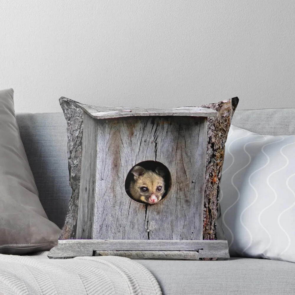 ? Australian brushtail possum... at home... Throw Pillow Cushion Cover Sofa Cushions Covers Bed pillowcases pillow