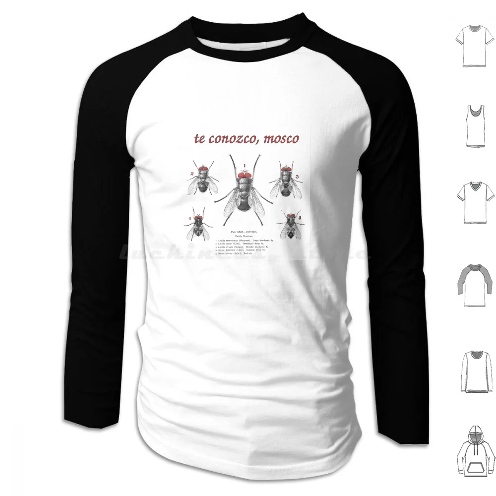 Te Conozco , Mosco ( I Know You , Fly ) Hoodies Long Sleeve Fly Diptera Biology Humor Dicho Idiom Spanish Entomology Bugs