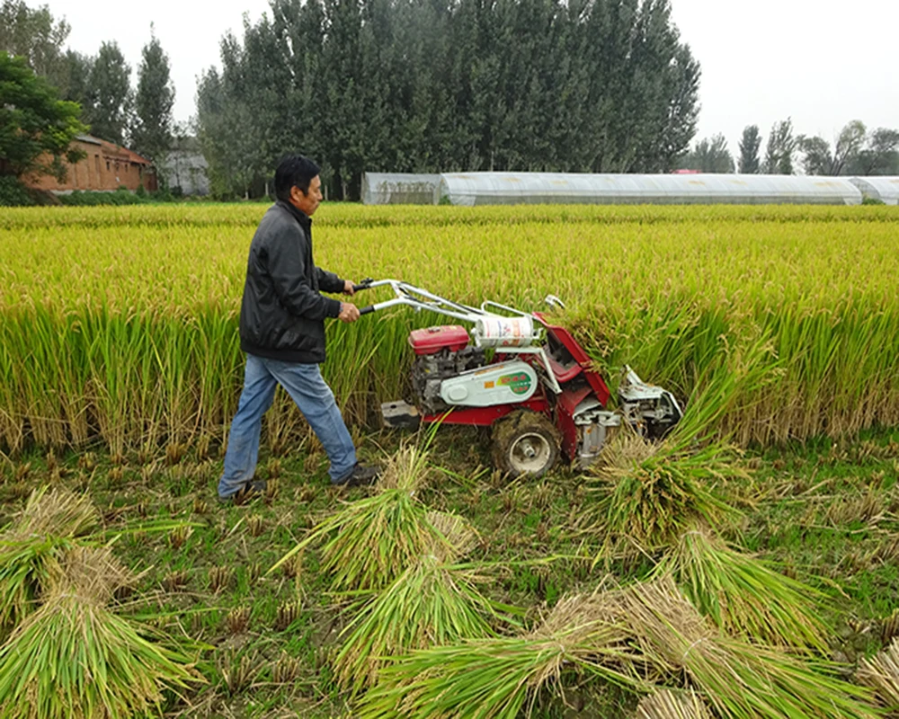 hand held mini wheat and rice harvesting machine agricultural equipment lawn mower maize harvest machine