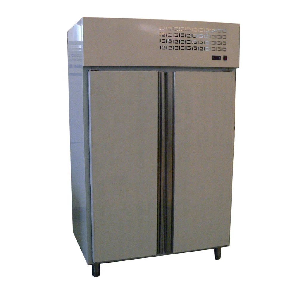

Restaurant Stainless Steel 2 Door Commercial Large Stainless Steel Deep Freezer 200 Liter
