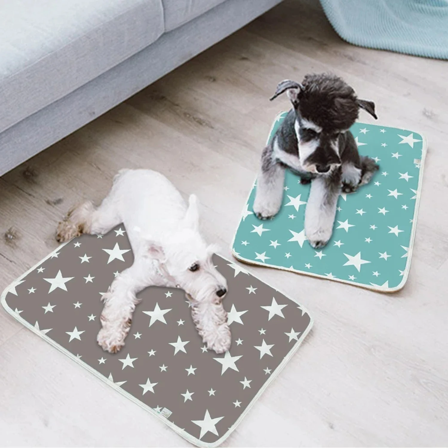 Eco-friendly, absorbent, and durable reusable pet training mat for responsible pet owners - perfect for puppies and adult dogs -