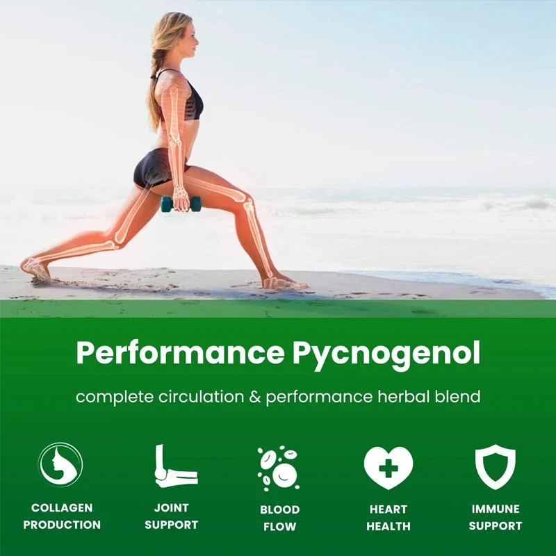 Pycnogenol French Ocean Pine Peel Extract | Excellent Absorption Effect, Black Pepper Extract | Vegetarian, Non GMO 60 Capsules