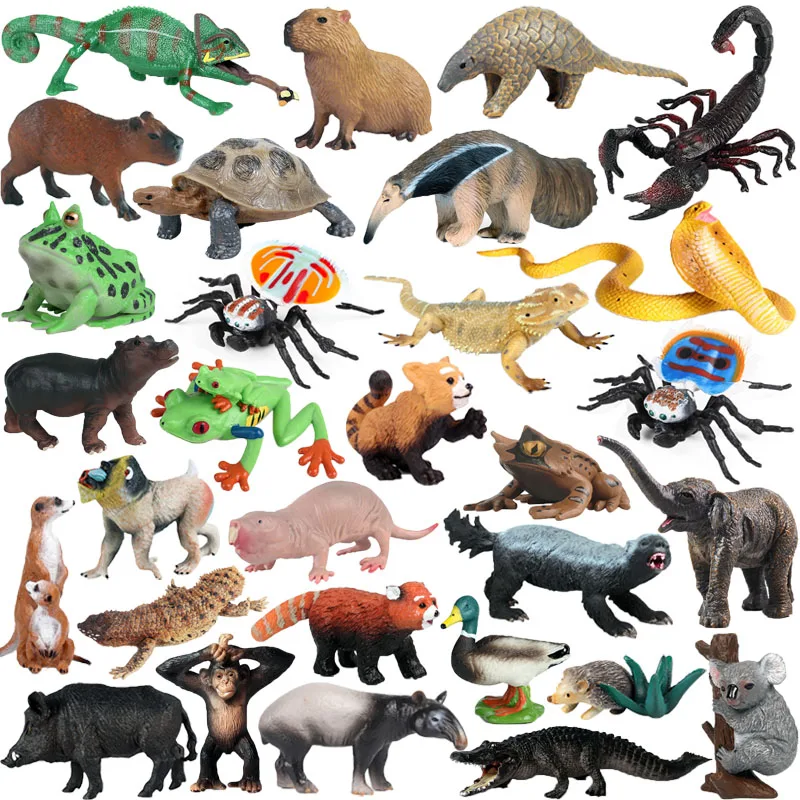 Simulation Wild Animal Action Figure Lizard Spider Capybara Orangutan Boar Frog Cobra Models Figurine Children Educational Toys