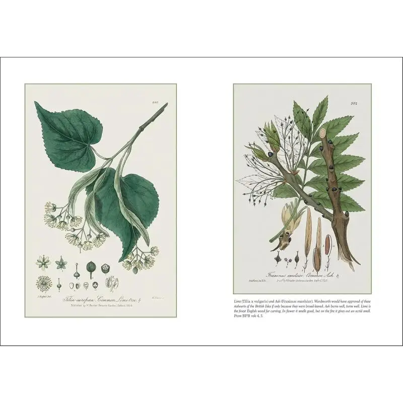 كلمات الكلمات الحدائق والزهور بيتر ديل براندون C ين Acc كتب فنية 9781851498956 كتاب #4