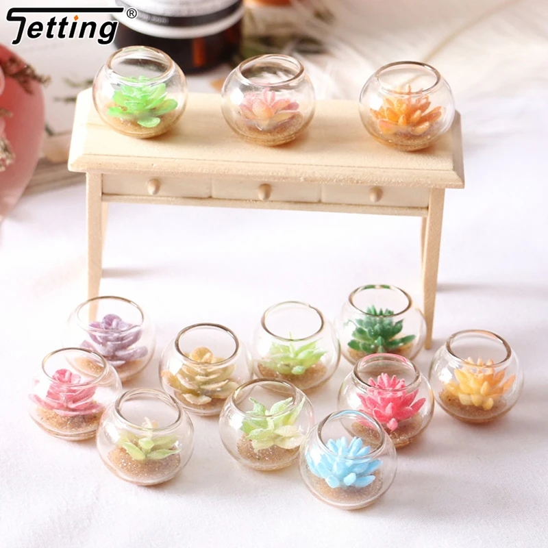 Random 1pcs Dollhouse Mini Glass Tank Succulent Plant Potted Miniature Model Micro Landscape Decoration Doll House Accessories