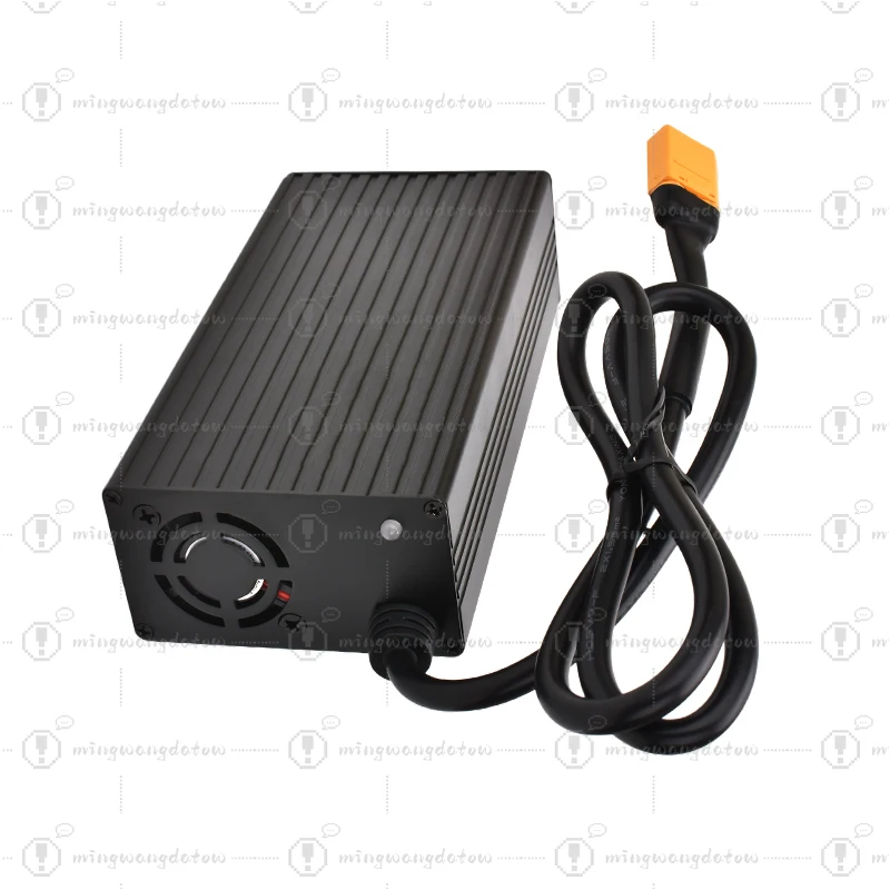 

6S LiFePO4 21.9V 12A Battery Charger Equipped with a fast-cooling fan For 6S 19.2V LiFePO4 Battery Pack 21.9V Fast Charger