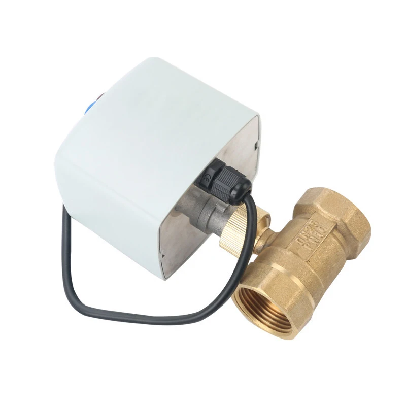 

DN15 DN20 DN25 DN50 Motorized Ball Valve 220V 12V 24V 3-Wire 2 Control Brass Electric Ball Valve Big Torque Metal Motor