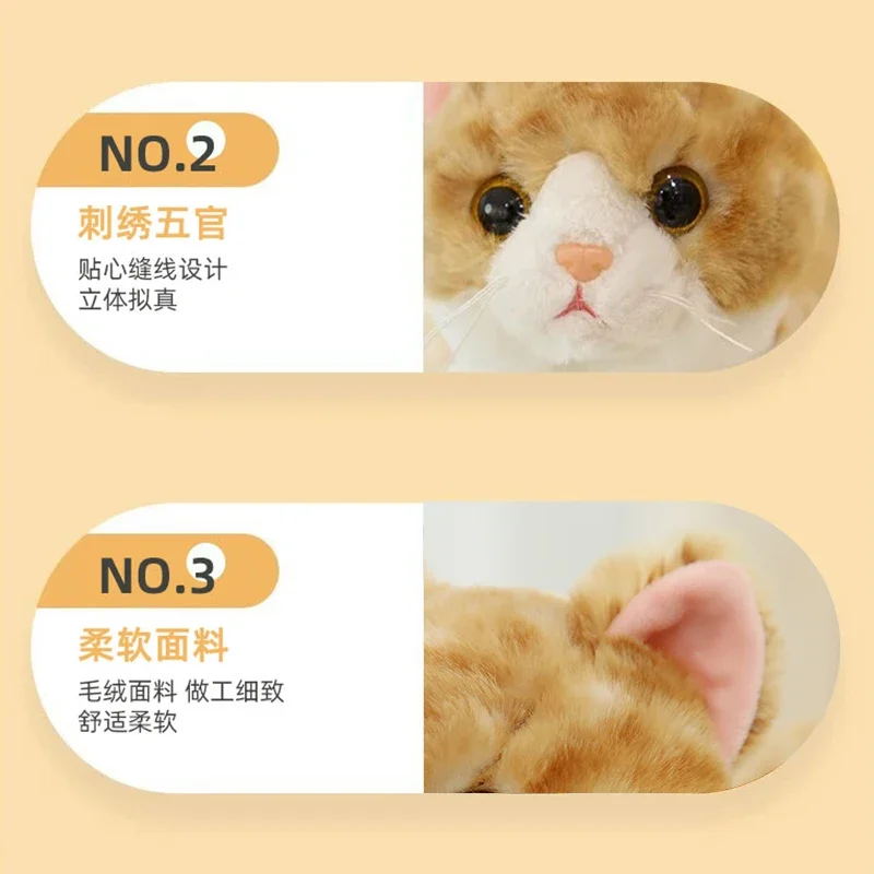 لعبة تثقيب القطط الذكور تتوافق مع النوم منذ مرحبا لتخفيف الملل الحيوانات الأليفة لدمية رفيق القط الأنثوية المزيفة الأخرى #5