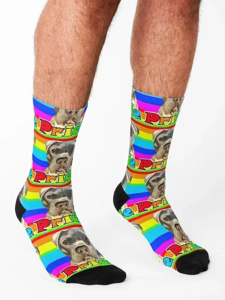 Rainbow Pride Pup Socks floral gift Wholesale football Man Socks Women's