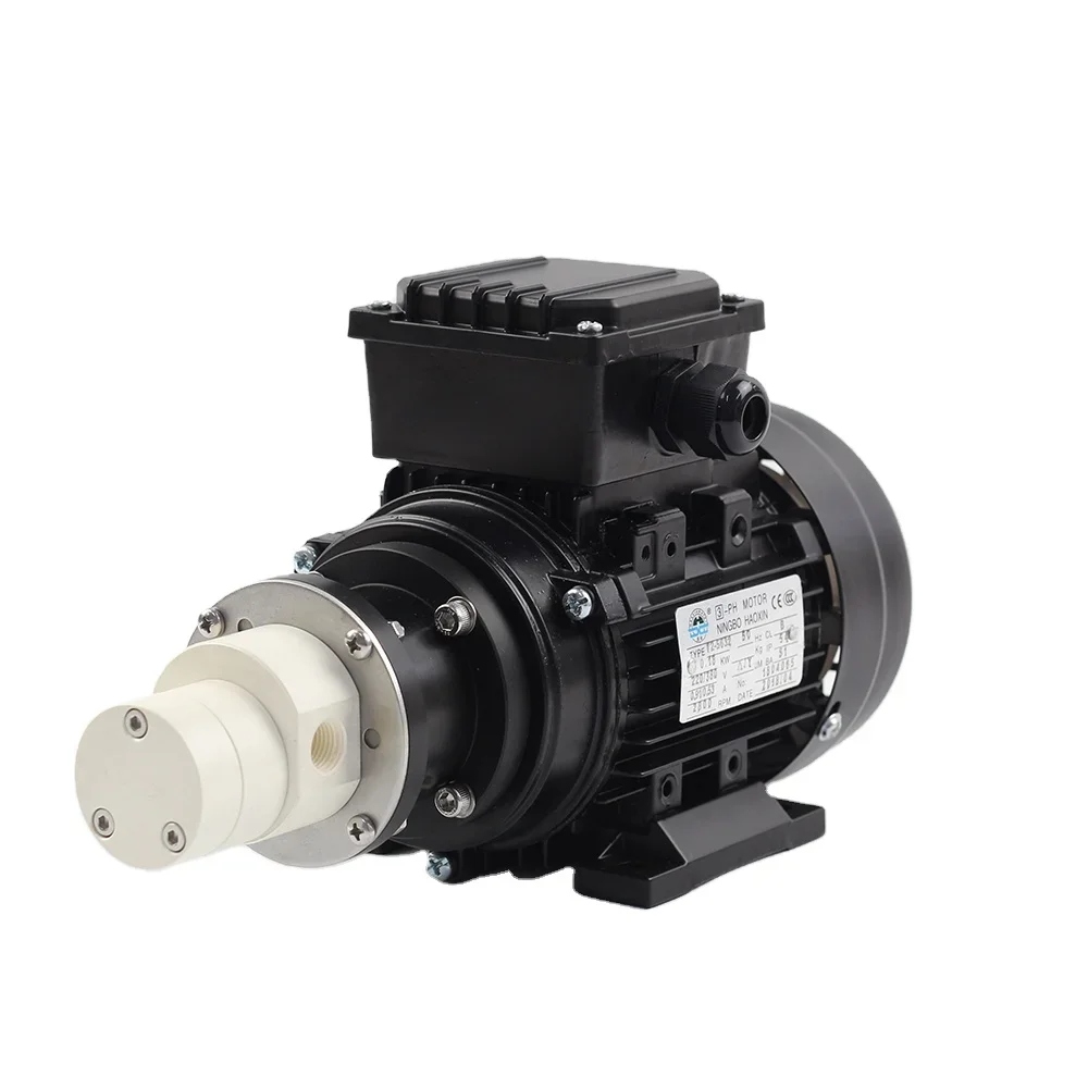 

Оптовая продажа с фабрики дешевый профессиональный магнитный привод из нержавеющей стали бесщеточный шестеренный насос постоянного тока бесщеточный дозирующий шестеренный насос