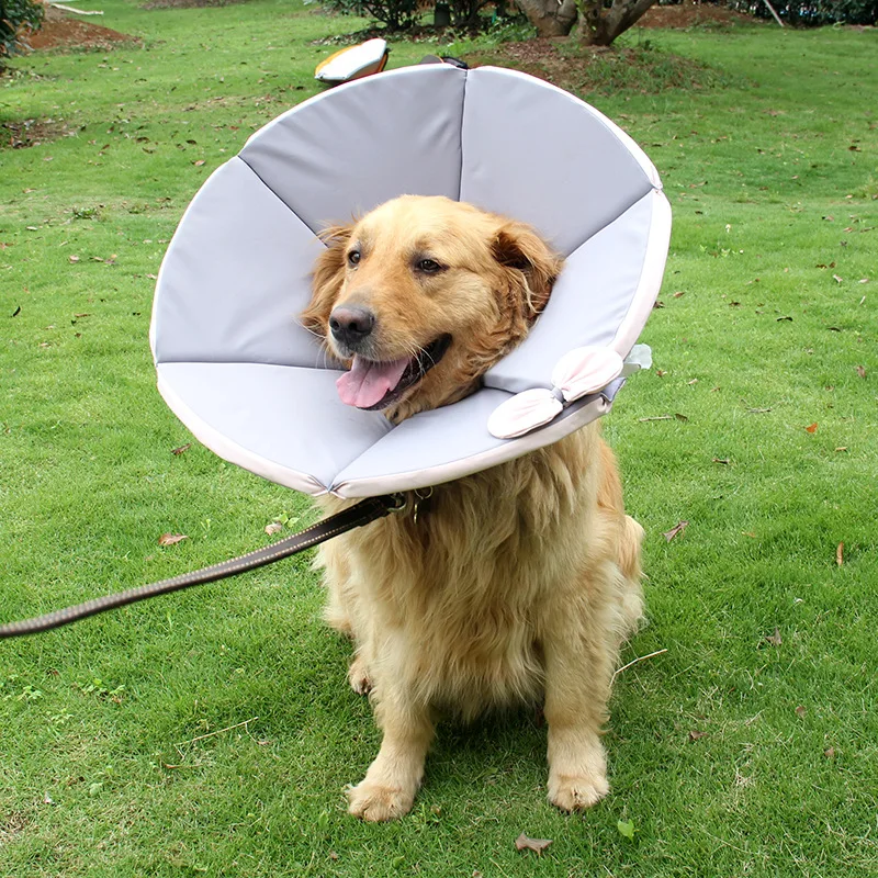 Pet supplies dog care neck cover protective cover waterproof and bite proof pet protection cover collar