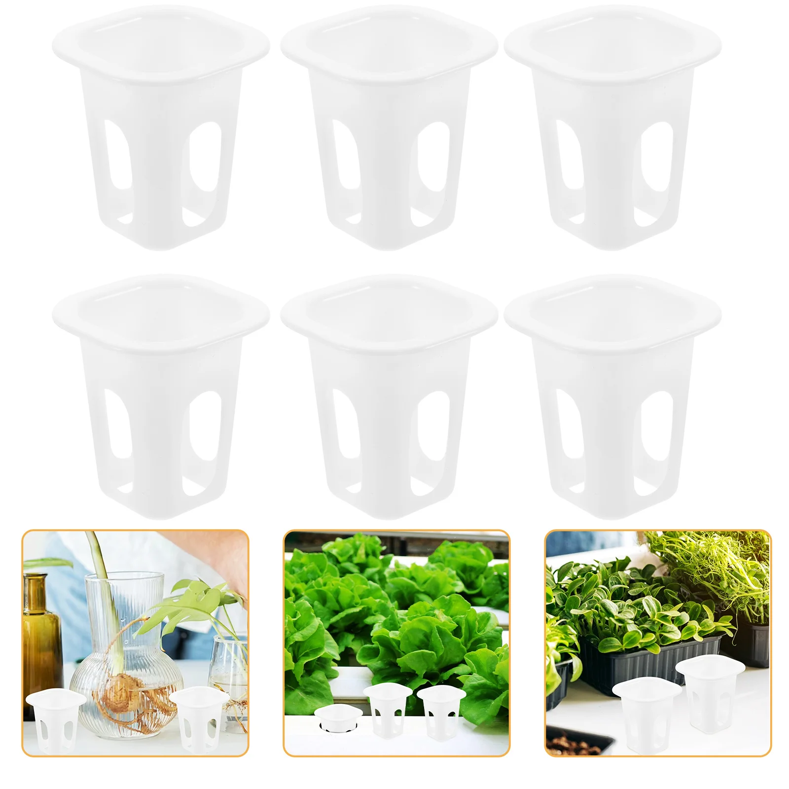 50 Stück quadratische PP-Kunststoff-Hydrokultur-Pflanzkörbe für Gemüse, Tomaten, Paprika, Orchideen, erdlose Kulturtöpfe, Garten