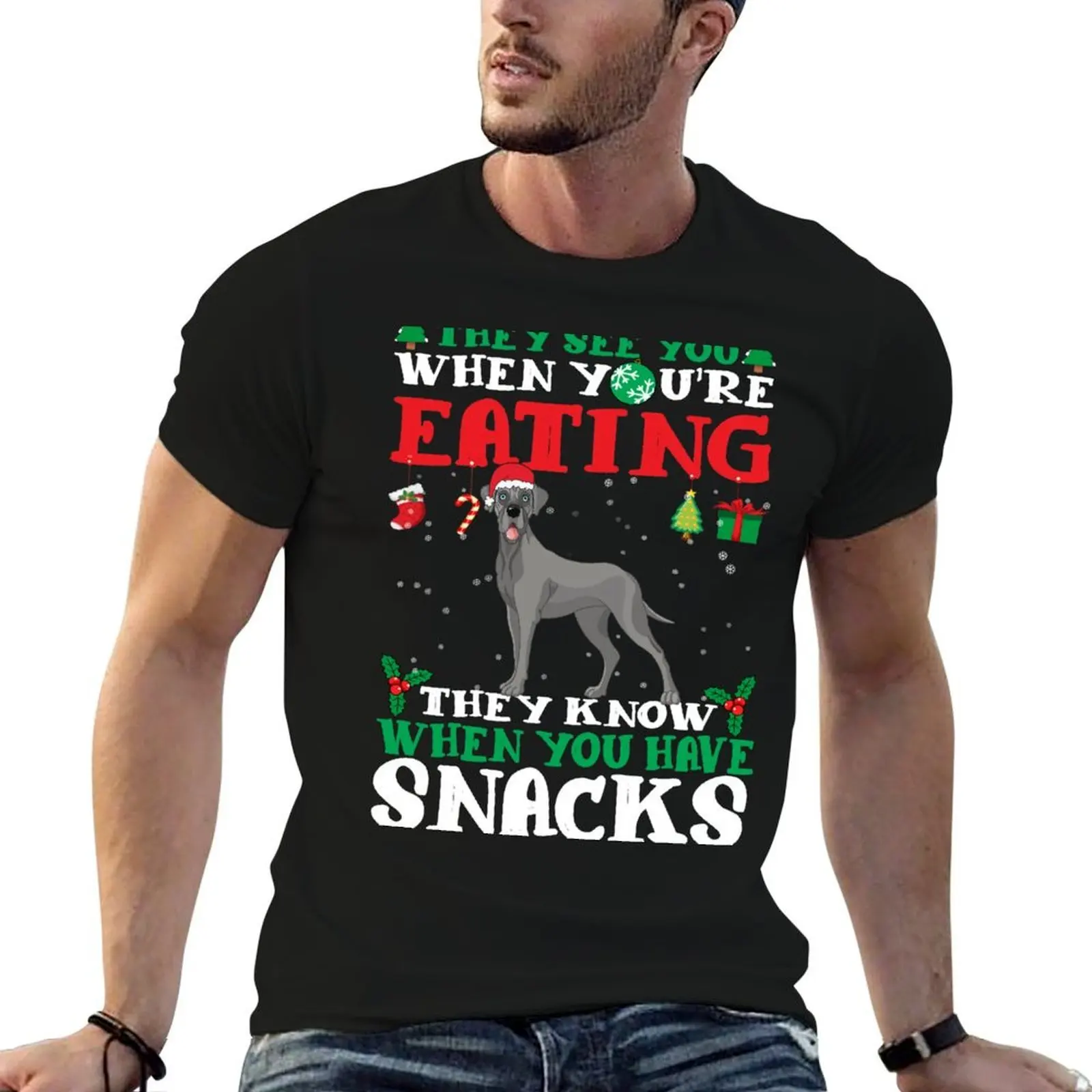 

Great Dane Christmas fun T-Shirt man tshirt man t shirt summer T-Shirt
