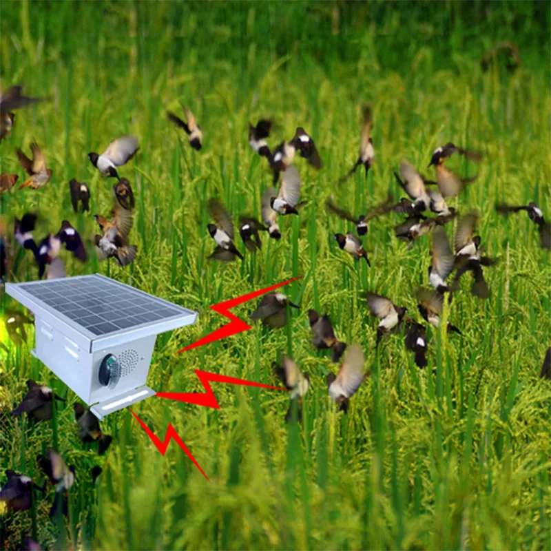 

Solar Repel Bird Sparrow Deterrent and Pigeons Accessories With 4 Ultrasonic Generator