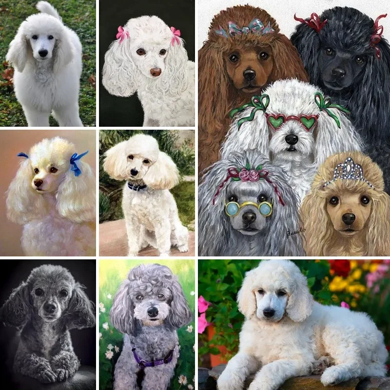 DIY 5D Diamond Painting Full Drill Pet Portrait Poodle Dogs Diamond Embroidery Picture of Rhinestones Mosaic Drawings Animal