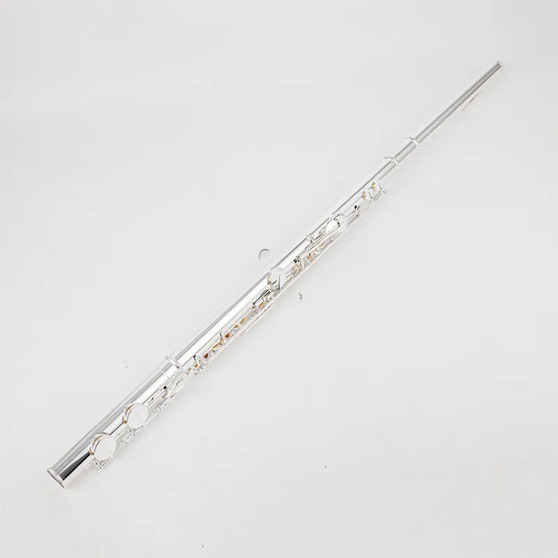 AF301 Alto Flute, 16 Closed Hole Keys, Silver Plated, Professional Musical Instrument with Hard Case