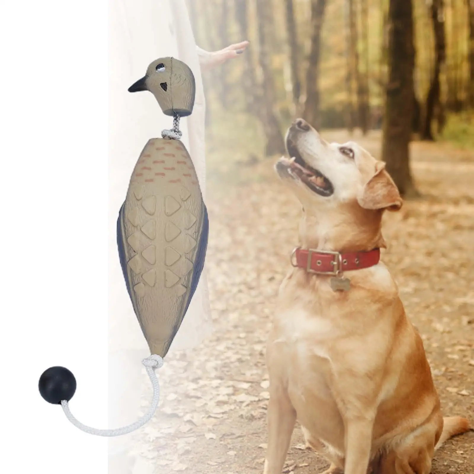 Hunting Decoy Fake Birds Dog Chew Toy for Dog Training Hunting Accessories Dove Decoy for Pond Garden Yard Landscape Outdoor