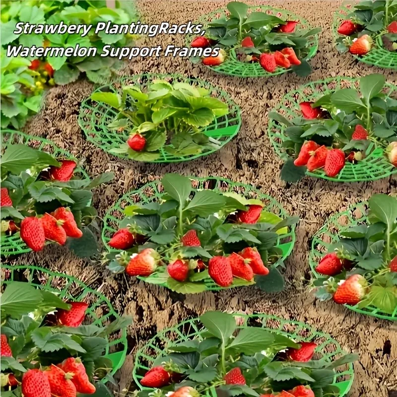 Strawberry Bracket Strawberry Planting Three-Dimensional Frame Tray Fruit Support Frame Pastoral Anti-Rotten Green Plant