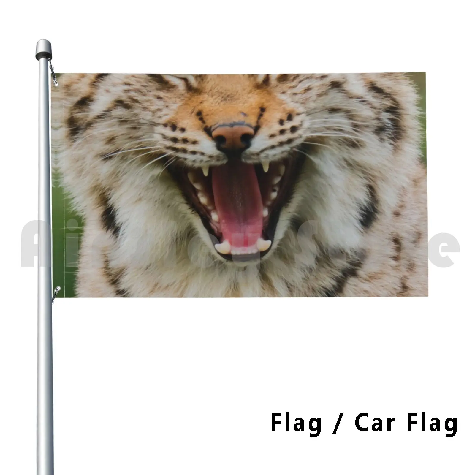 Flag Car Flag Yawning Lynx Hat Lynx Eurasian Lynx Siberian Lynx Iberian Lynx Bobcat Big Cat Cat Feline