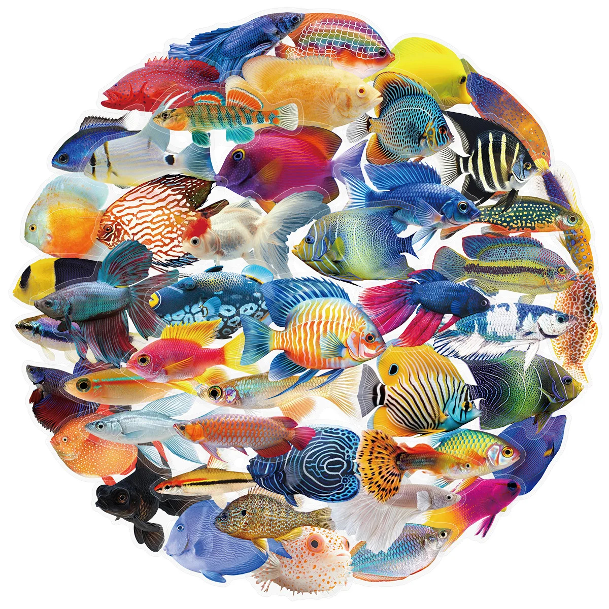 50PCS Transparent PET Fish Stickers Phone Luggage Water Cups Computer Office Stationery Decoration Waterproof Stickers image 2