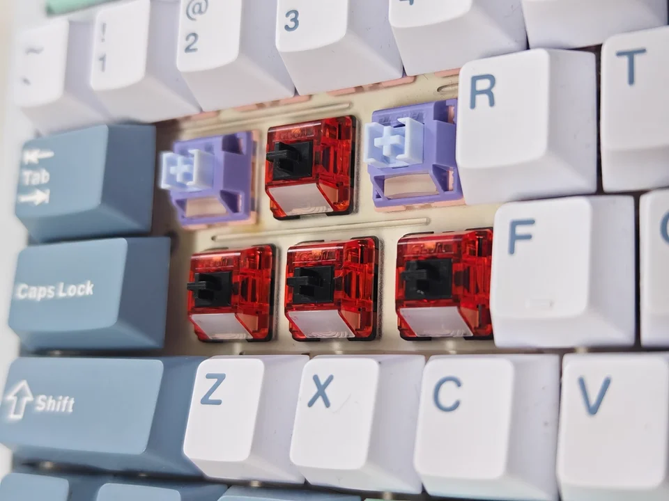 Geonworks 랩터 Mx 익스트림 게이밍 스위치, 퀵 트리거 축 스위치, 45g 랩터 Mx 기계식 선형 스위치, 액세서리 선물