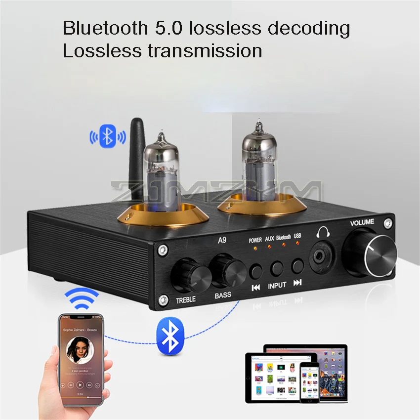 A9 Fever Electronic Tube Gallbladder Front Stage HiFi Bluetooth 5.0 Amplifier Audio Front Tone U Disk Lossless Decoding