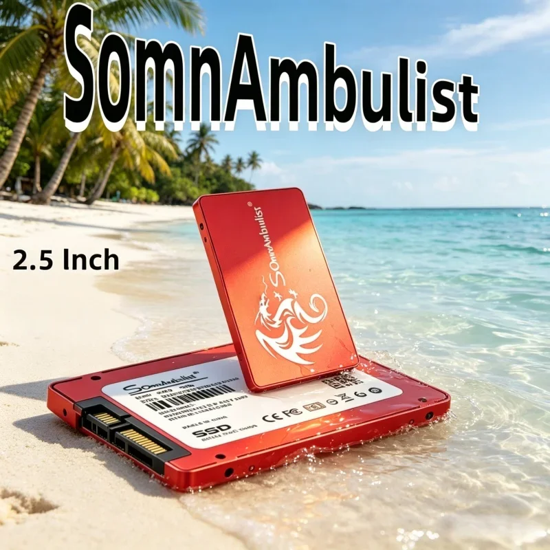 

2026 Hot Sale SomnAmbulist 2.5" SATA III SSD 64GB-512GB Fast Boot Budget PC System Upgrade Disk