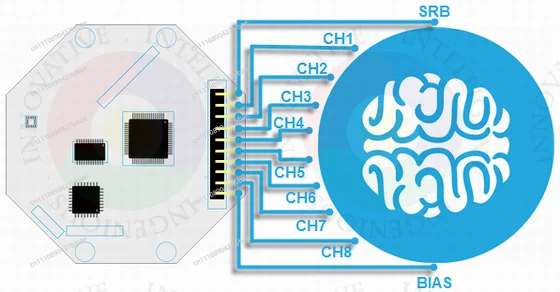 OpenBCI  V3 compatible Open Source Arduino EEG Brain Wave Module -8 or 16 Channels -  Cable Version view 6