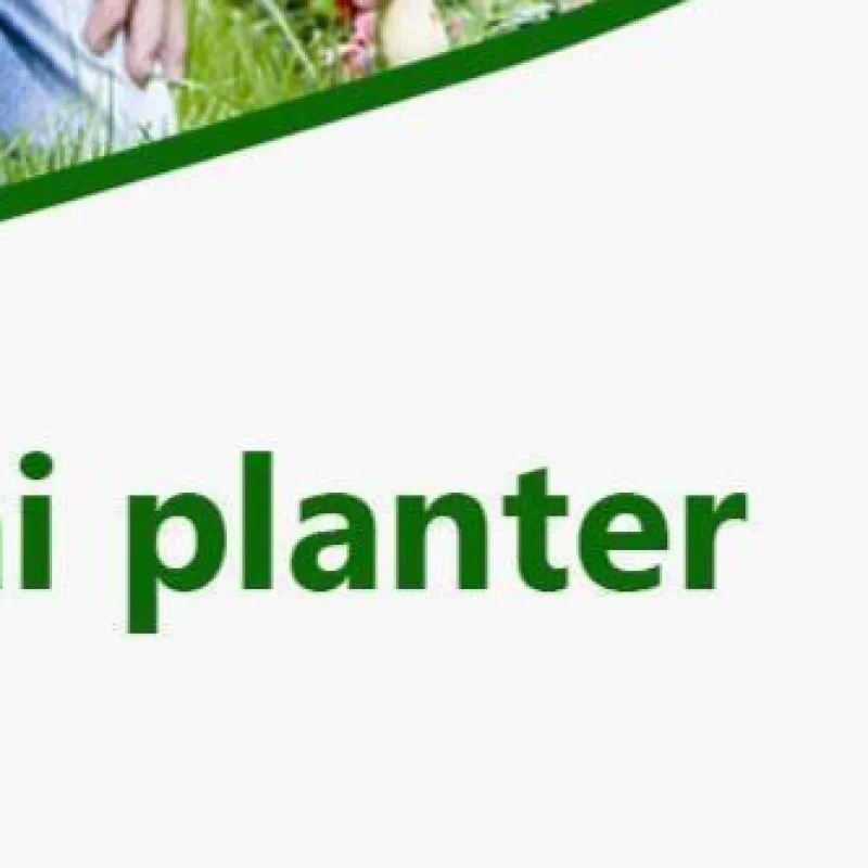 

Syringe Seeder Manual Sower Seed Spreader Plastic Handheld Seed Planter Hand Seeder Garden Seeding Dispenser Gardening Supplies