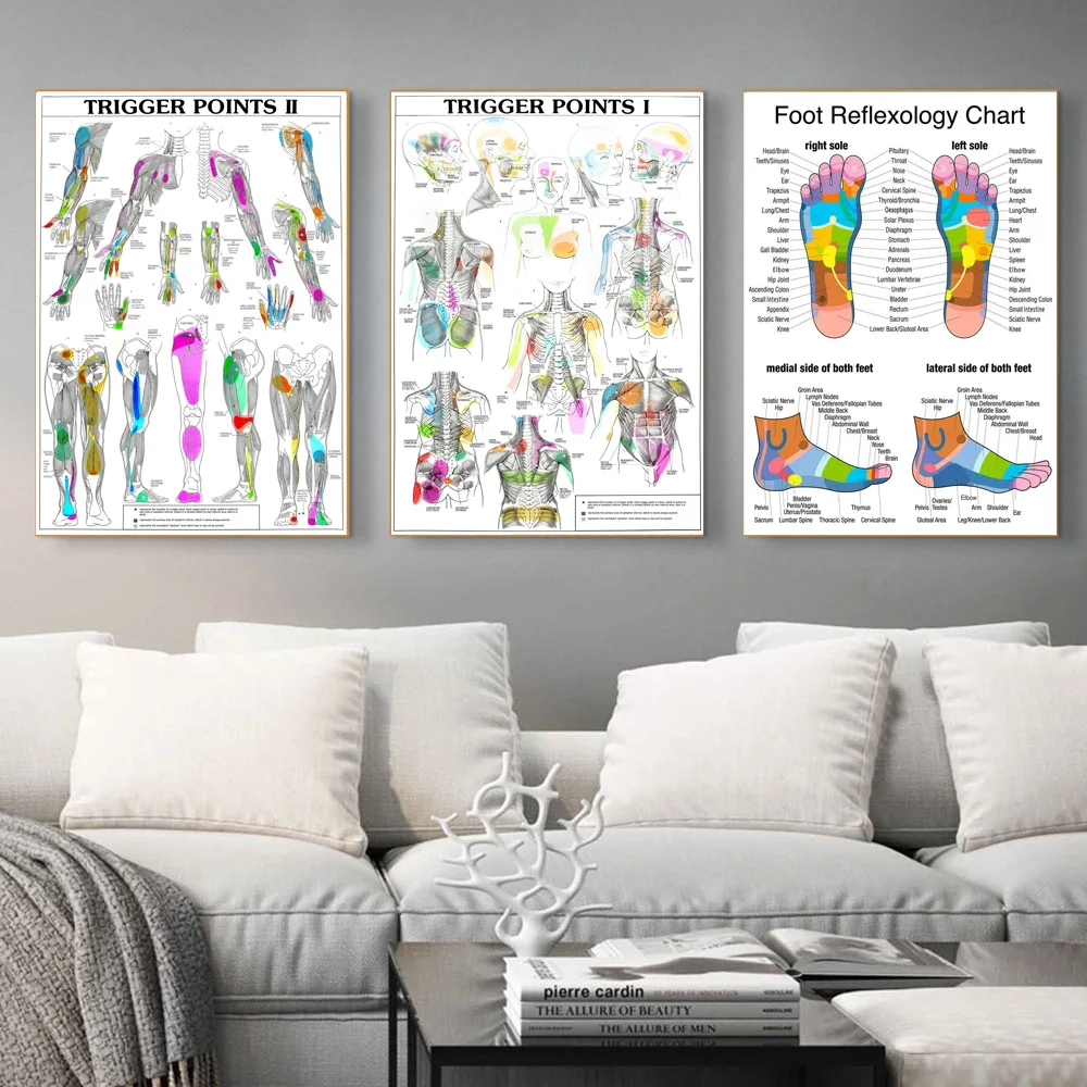 Trigger Points Anatomy Foot Reflexology Chart Study Poster Prints Wall Art Canvas Painting Picture Photo Gift Room Home Decor