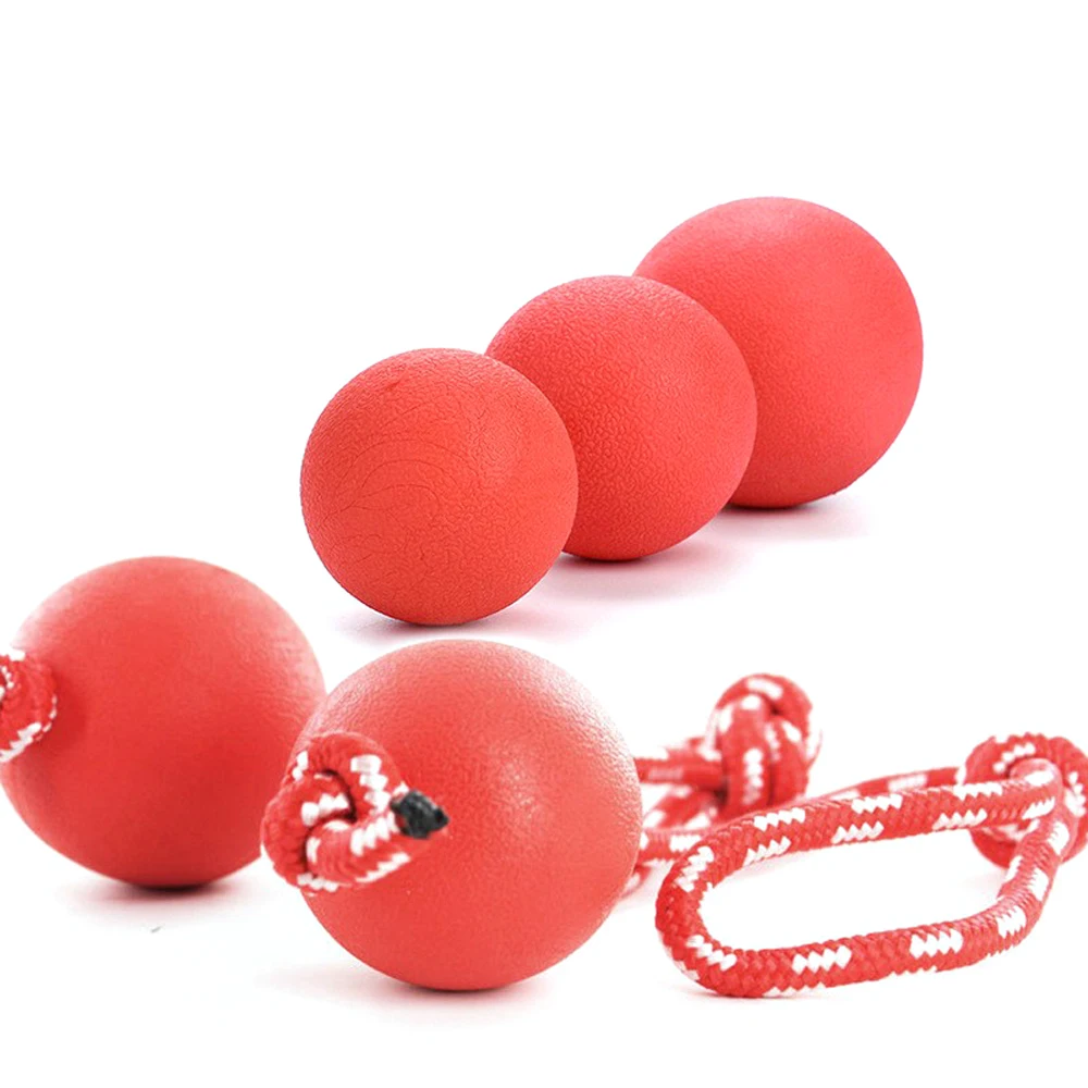 

Indestructible Dog Ball Chew Toy with Rope Tug Solid Rubber Pet Training Toy for Puppies
