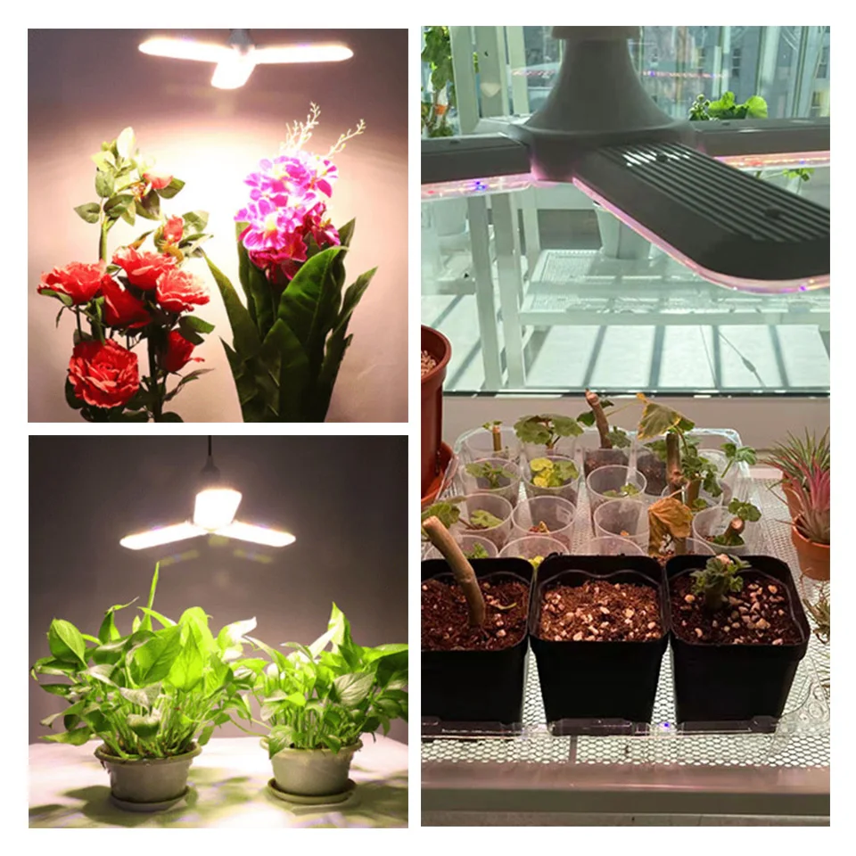 Imagem -06 - Foldable Full Spectrum Led Grow Light Planta Crescente Luz Phytolamp Bulb Plantas de Interior Flower Seedling E27 24w 36w 48w