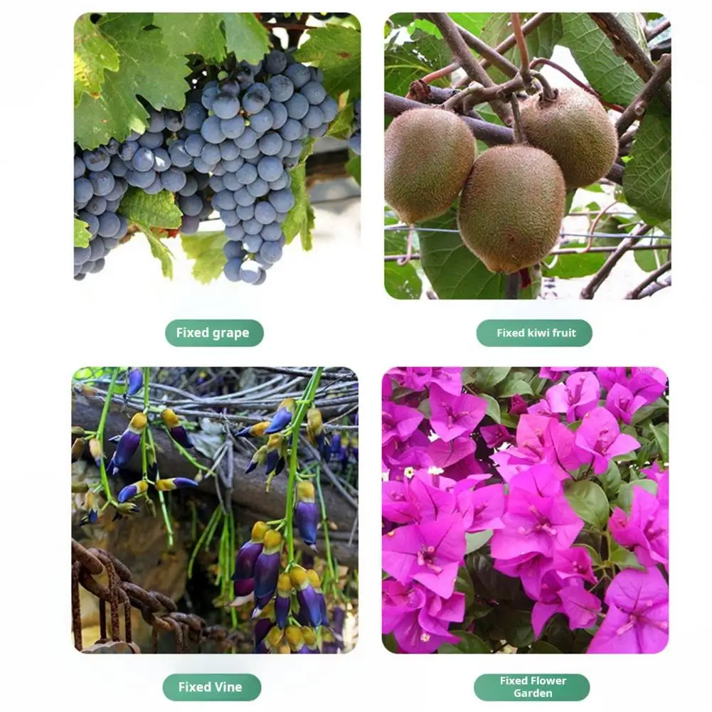 Climbing Vine Support Clips Flower Vine Supports Climbing Plant Clamps Garden Vine Support Clips Long-lasting Plastic Plant
