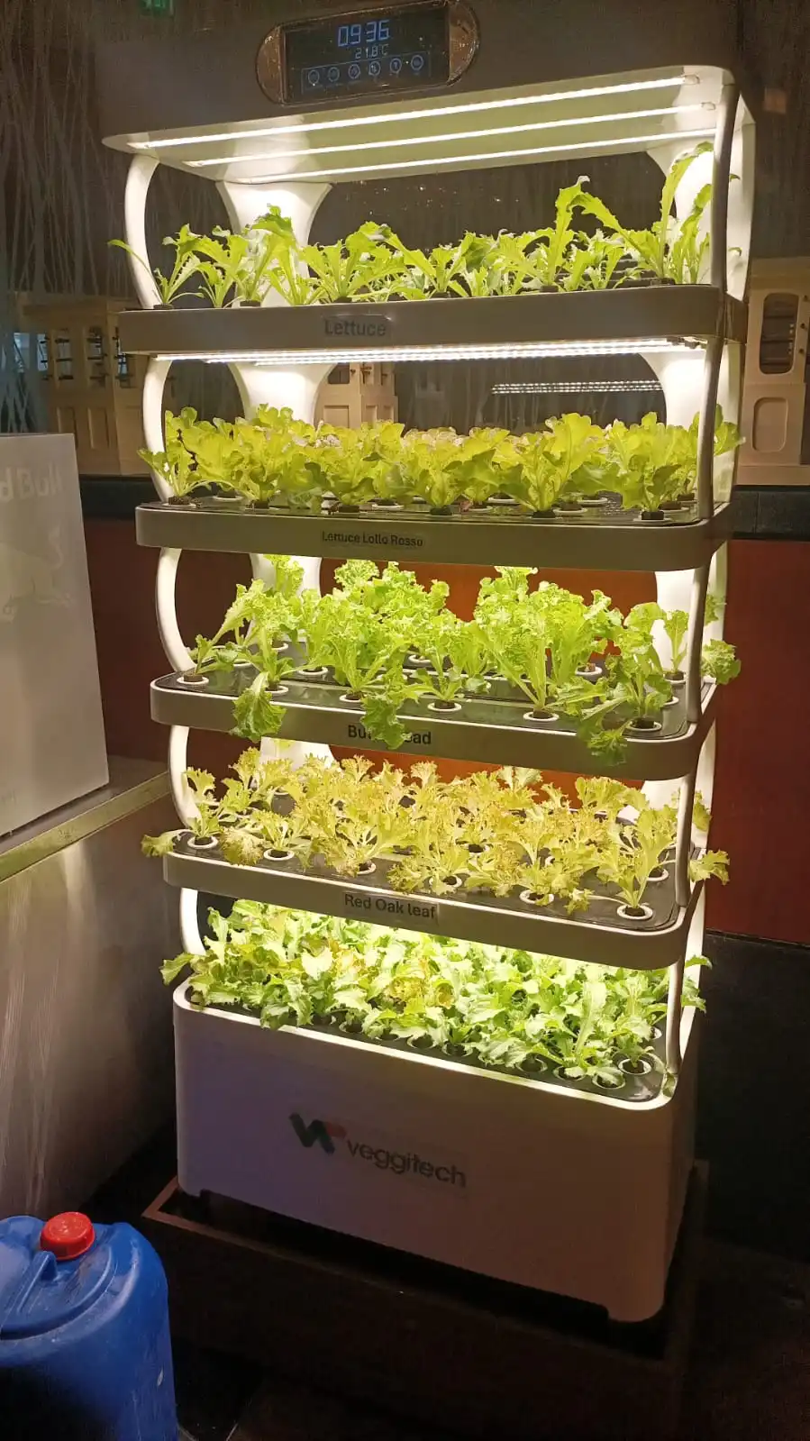 زارع أنظمة النمو المائية زارع داخلي ذكي حديقة المنزل نباتات المزرعة ذكي ذكي #6