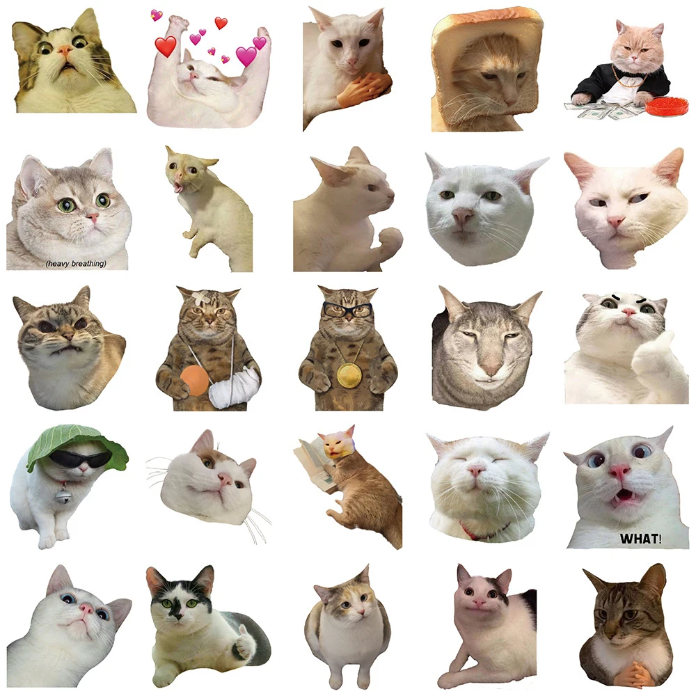 10/30/50/100 pçs engraçado bonito gato meme adesivos kawaii dos desenhos animados gatinho adesivo diy portátil bagagem telefone graffiti decalques decoração