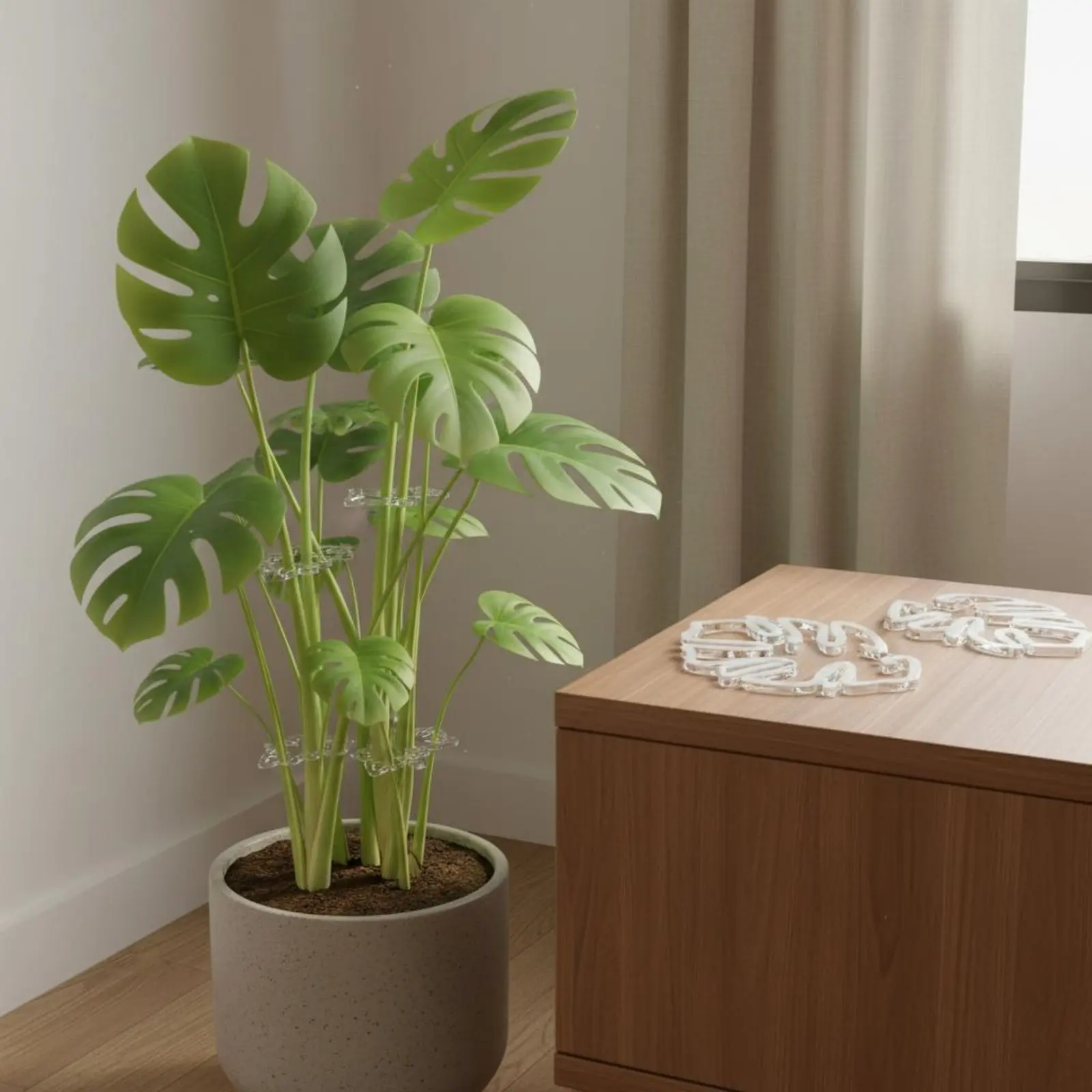 Monstera Foliage Plant Support Clear Design Transparent Plant Support Loop Acrylic Stalk Holder Reusable Gardening Accessory