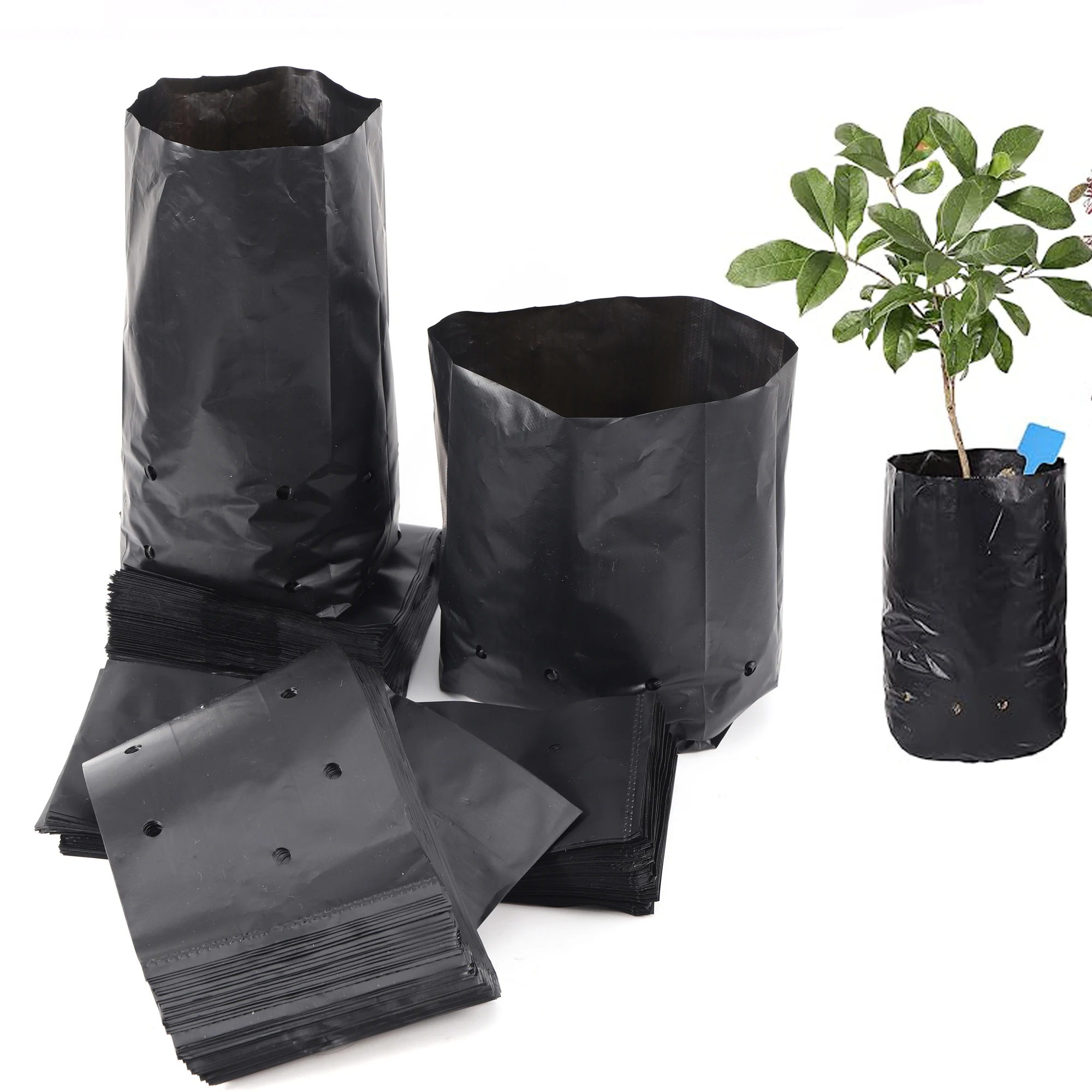 Sac de semis en PE épaissi avec trous de ventilation, sac de plantation de bonsaï, jardin vert, arbre fruitier, plante, 20 pièces