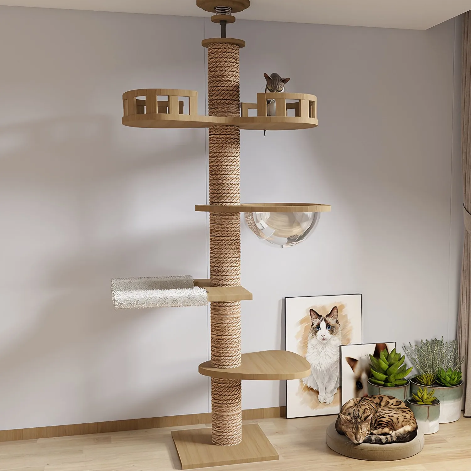 Arbre à chat du sol au plafond avec poteau à gratter, hamac, structure d'escalade réglable à 5 niveaux, centre d'activités pour chat, meuble