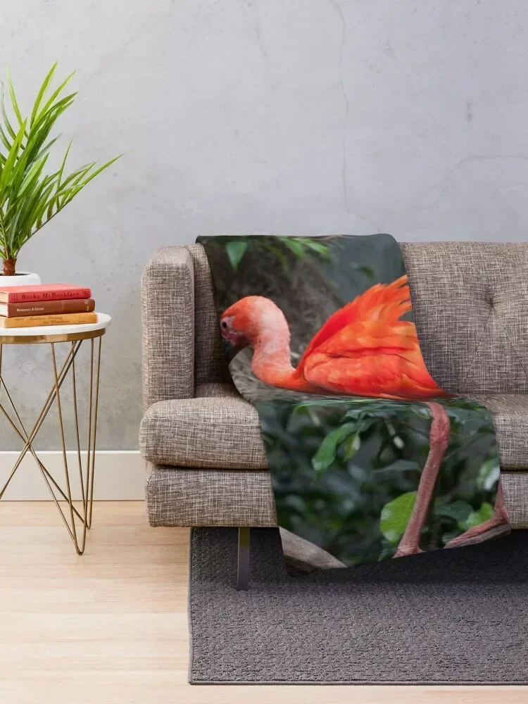 Scarlet Ibis perched on a vine Throw Blanket Large Flannels Blankets