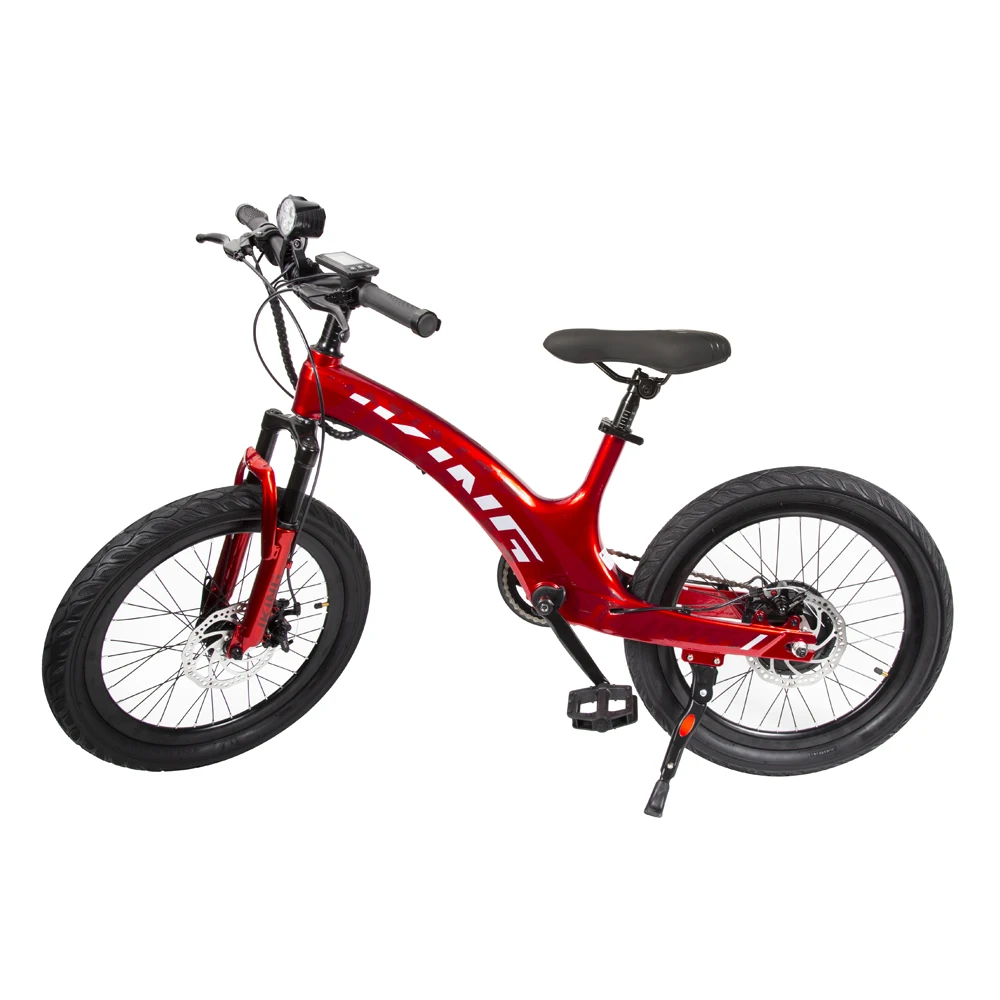 AliExpress YAMALI C8 Adult Electric Bicycle 250W Motor E-bike 29.4V9.32Ah Battery Electric Bike 20 Inch Tire  city ebike
