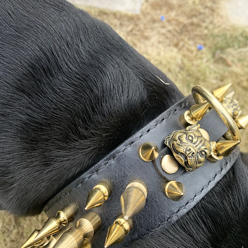 Spike Dog Collar With Brass Bullet Spikes For Large Dogs Custom Leather Spiked Collar Luxury 2 Inch Wide Studded Dog Collars