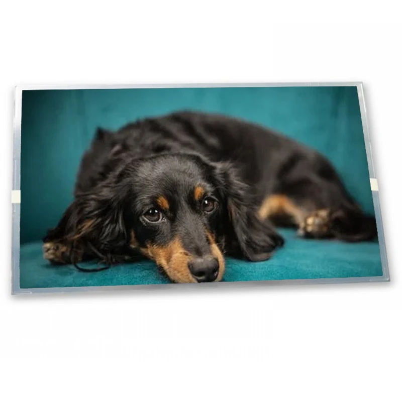 Replacement KCB104VG2CA-A43 KCB104VG2CA-A44 KCB104VG2CA-G43 10.4 640*480 CSTN-LCD Panel Zhiyan supply