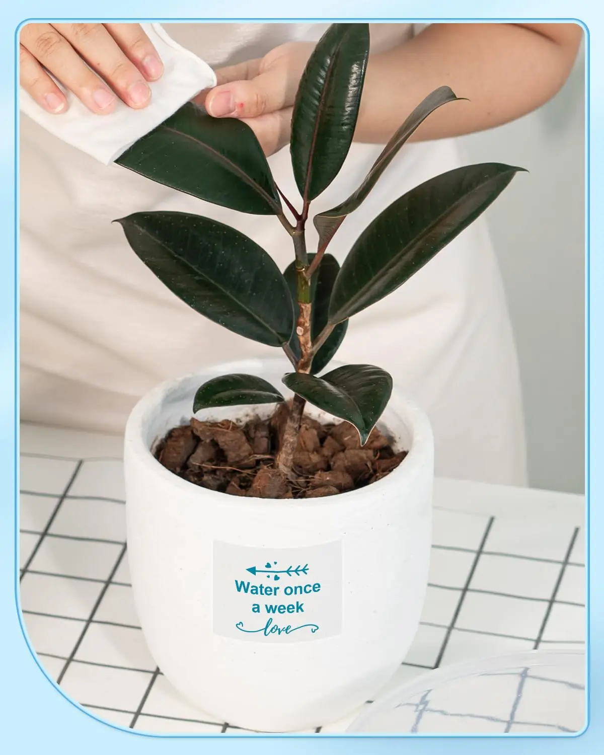 ملصقات حرارية شفافة M110 230 قطعة - 1.57 بوصة × 1.18 بوصة (40 × 30 مم) مقاومة للماء باللون الأخضر/الأزرق/الوردي مناسبة Phomemo M110/M100/M220 ملصق مكتب #4