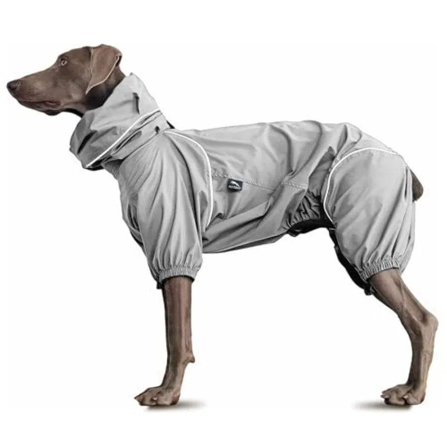 Dog Lightweight Windbreaker, Pet Outdoor Sports Jacket, 0.5 lbs, 3 in One, Hooded, Easy on/Off with Collar and Harness, Reflect