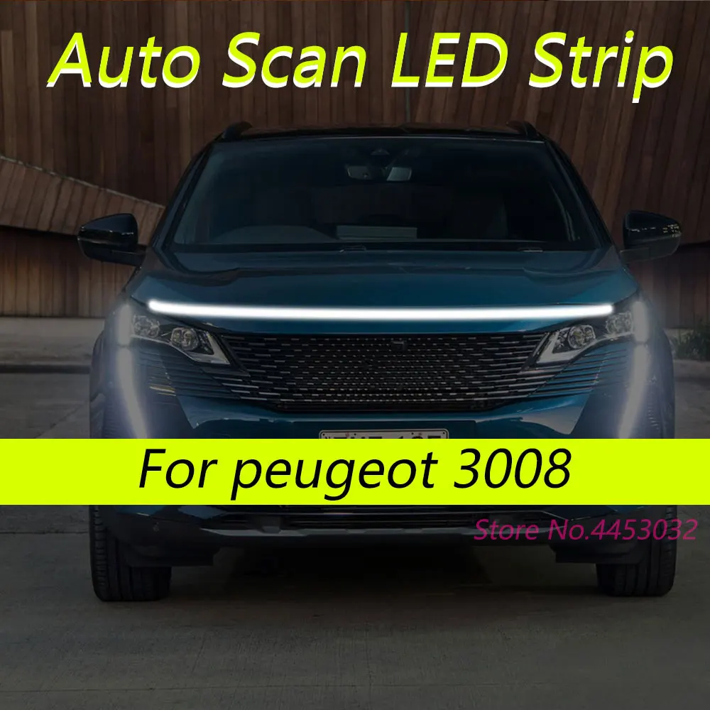 Drl Auto Scan Start…