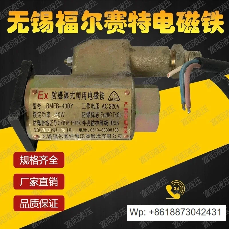 New, explosion-proof wet valve electromagnet BMFB-40BY BMFB-25BY 8GY BMFB1-4Y 5.5Y