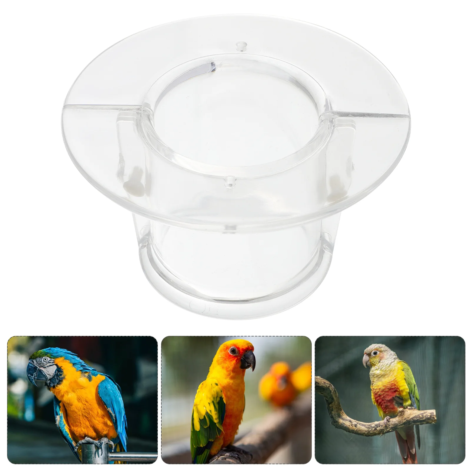 Bird Anti-bite Collar for Severe Parrot Feather Plucking Neckband Restricts Neck Movement for Macaw Cockatoo (Size L)