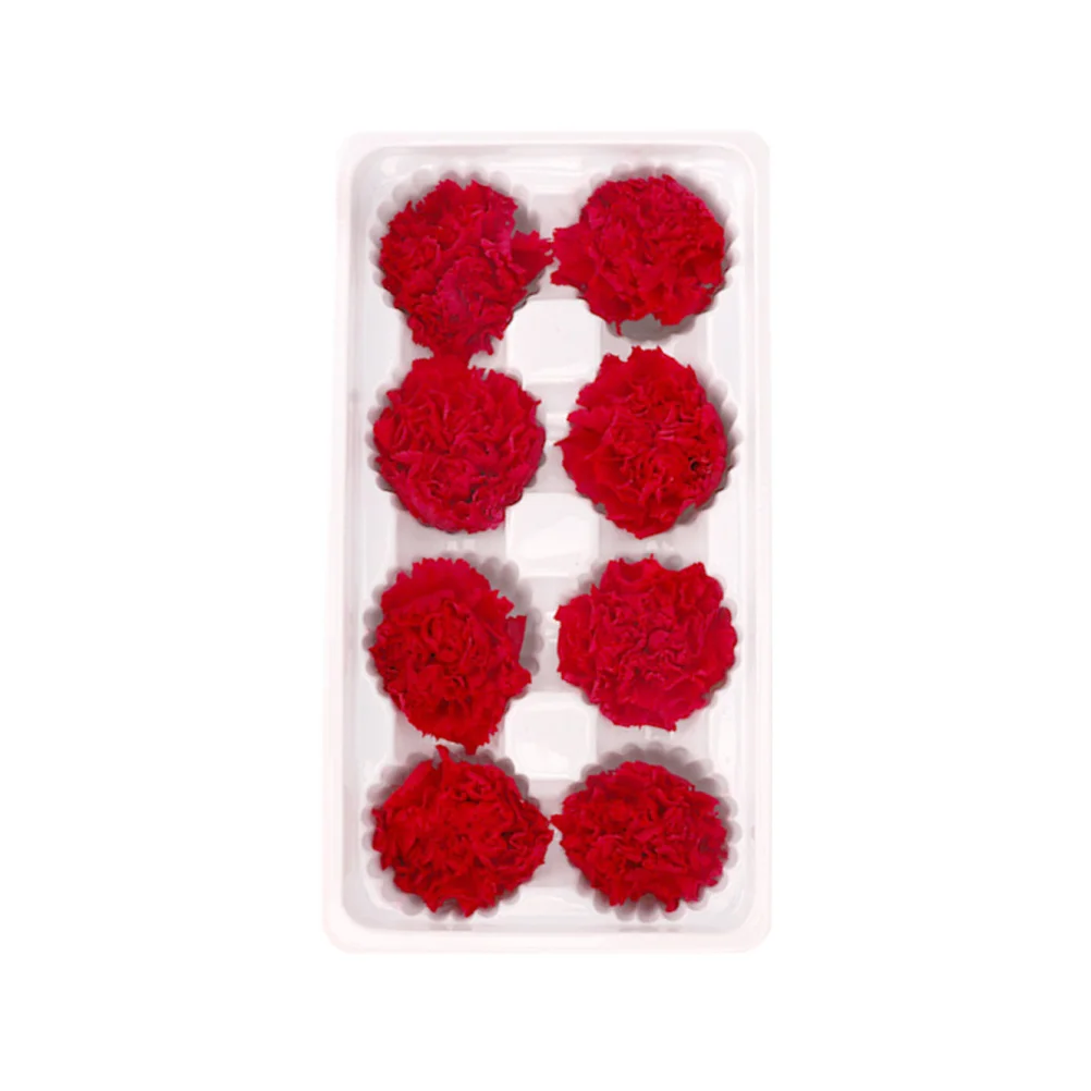 قرنفل أبدي زهرة مجففة طبيعية رومانسية للأبد هدايا تتفتح لعيد الحب وعيد الأم وعيد الميلاد #3